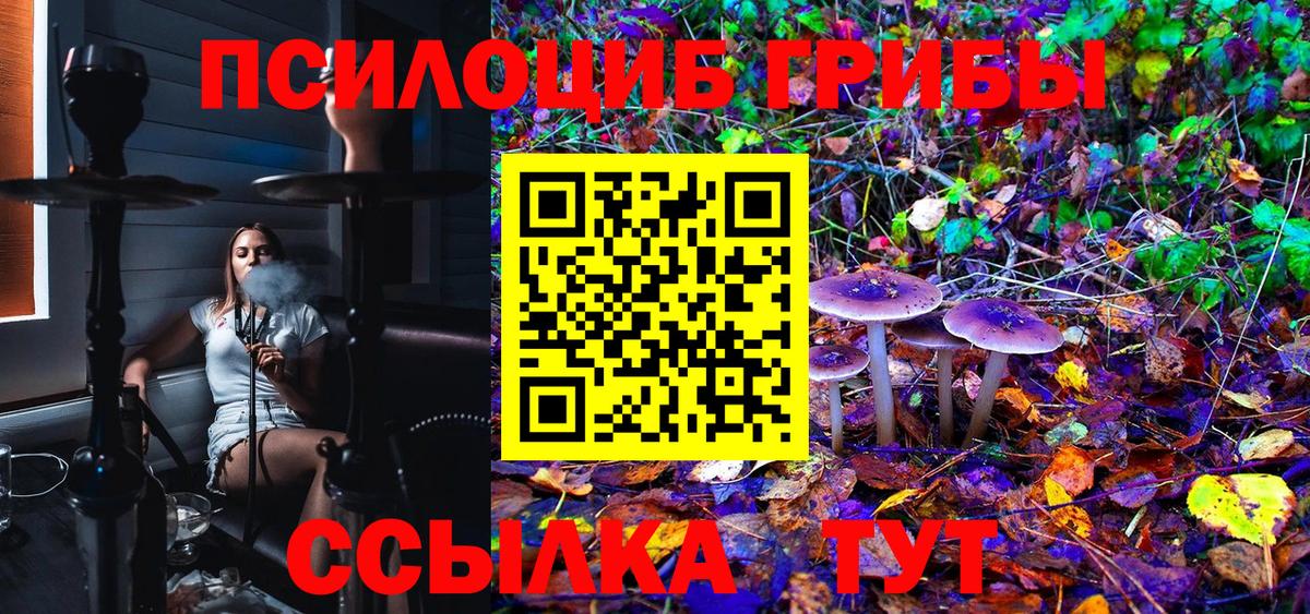 Галлюциногенные грибы прущие грибы Углич